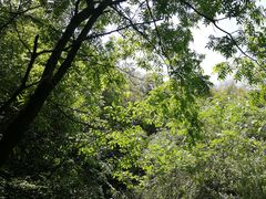 景点-穹窿山景区