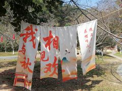 -广州市帽峰山景区