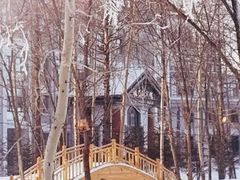 -汤旺河林海奇石景区