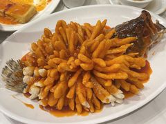 -刘胖子家常菜·蹄花焖藕(中南店)