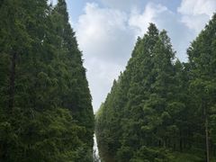 -黄海国家森林公园