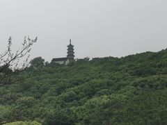 -苏州上方山国家森林公园