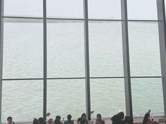 -抱抱地球咖啡馆(国家海洋博物馆店)