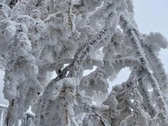-光雾山旅游景区