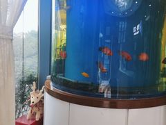 -方津口腔(旺墩路店)
