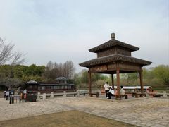 -苏州太湖国家湿地公园