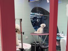 -FAELING PETS美天灵宠物(合生汇店)