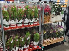 -山姆会员商店(大连店)