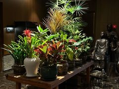 -鼎膳常火锅(华阳店)