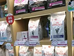 -美联众合动物医院·24h转诊中心