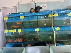-叶姐海鲜(棋子湾店)