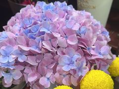 -何兮花店·气球派对鲜花店(马桥银春路万科城店)
