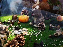 -初拾·花里餐厅(钜城华亿店)