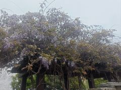 -鸣鹤古镇