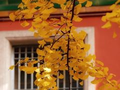 -阿马蛋汤·宁波小海鲜(总店)