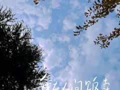 -渭河城市绿地运动公园