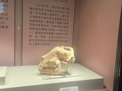 -咸宁市博物馆