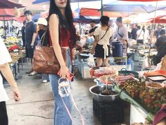 -西双版纳傣族园