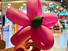 -椰夫人·养生椰子鸡(金沙洲永旺店)