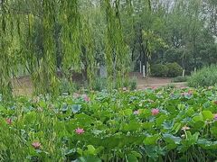 -南翠屏公园