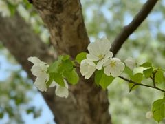 -元大都城垣遗址公园