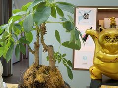 -长风拨筋养身(金虹桥店)