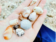 -三亚西岛海洋文化旅游区