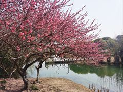 -白塘生态植物园
