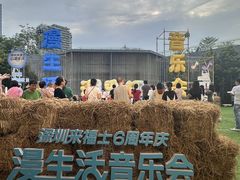 -深圳来福士广场