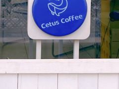 -Cetus coffee鲸鱼座咖啡·拼豆(二仙桥公园店)