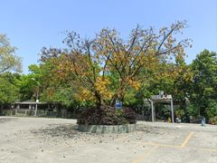 -凤来栖·净庭院·火锅(欧尚店)