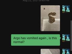 -pd派德宠物中心医院24H急重症·眼科中心·血液透析中心(嵩山北路店)