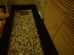 -蓝鲸湾汤泉(包河店)