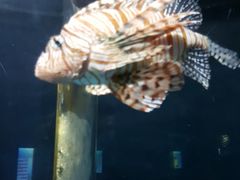-苏州海洋馆
