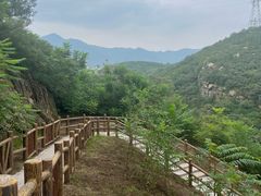 -白水寺森林公园