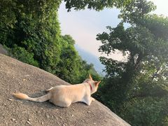 -火炉山森林公园