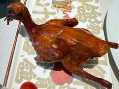 -大鸽饭(岗顶店)