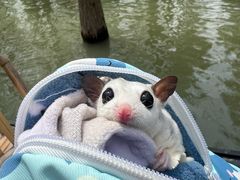 -泗洪洪泽湖湿地景区