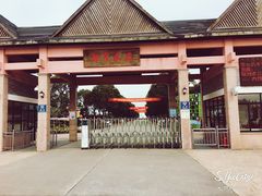 -上海都市菜园