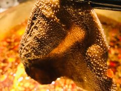 川门毛肚七绝-哥老官重庆美蛙鱼头(西湖银泰十一哥店)