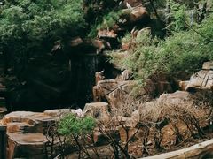 -燕塞湖鸟语林景区