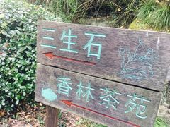 -杭州西湖风景名胜区-三生石