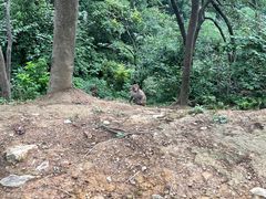 -黔灵山公园