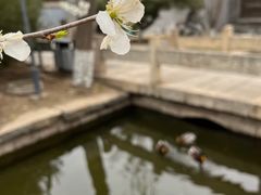 -三里河公园
