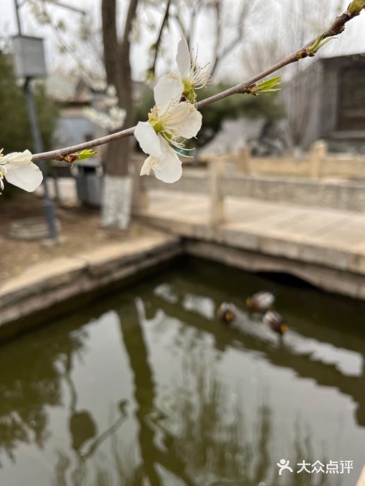 三里河公园图片