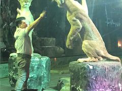 -清迈夜间动物园