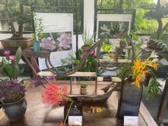 -杭州植物园