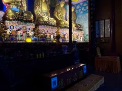 -峨眉山报国寺