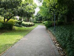 -路小缦·珍馐美馔(市心北路店)