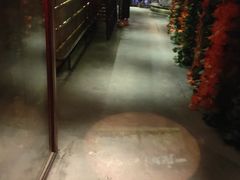 -香榭里音乐酒吧(丰美店)